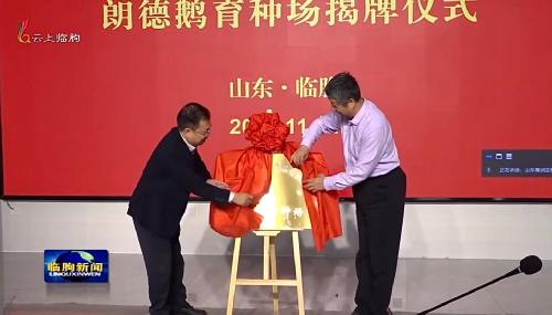 2024年山东省重点研发计划（农业良种工程品种培育）项目“优质高效抗逆肥肝鹅新品系选育”项目启动